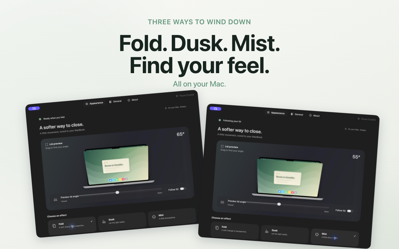 Duoble showing multiple effect styles